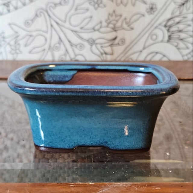 Glazed Pots – Derbyshire Bonsai