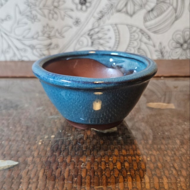 Glazed Pots – Derbyshire Bonsai