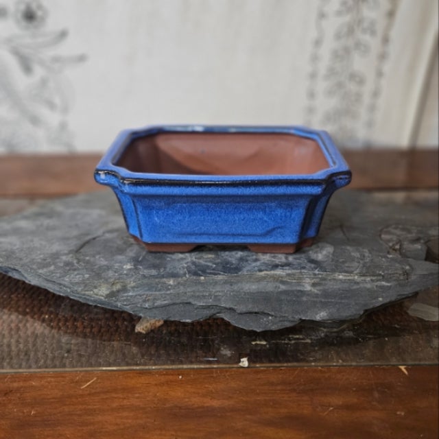 Rectangle Bonsai Pot with Rim in Blue, Green & Yellow Glaze by